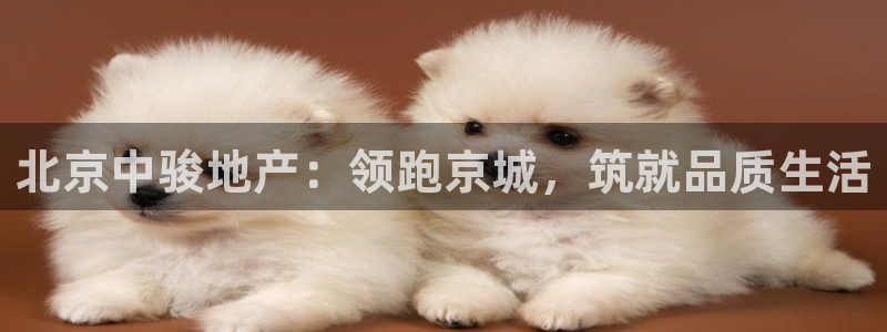 永利中国葡萄酒大赛 银奖获奖名单