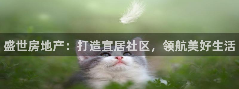 永利运动鞋