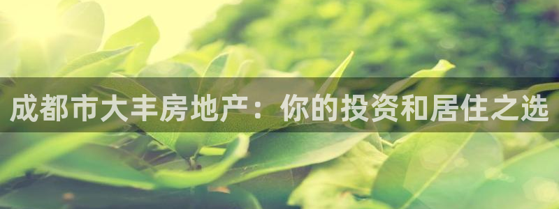 永利集团304am官方入口版