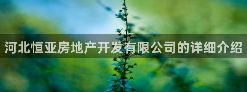 永利公司简介