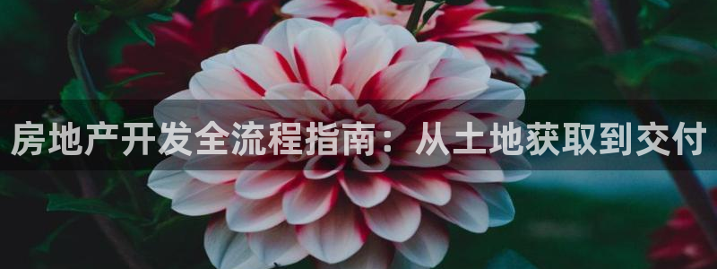 永利汇茶具有限公司