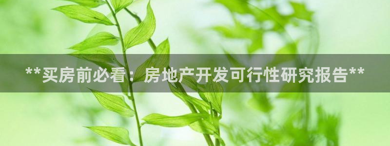 永利官网正网