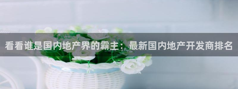 永利股份300230