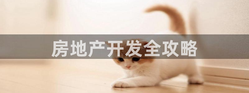 永利带业公司怎么样