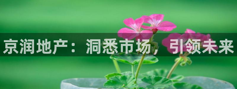 永利皮带型号
