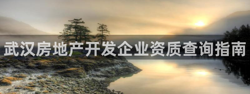 永利bet