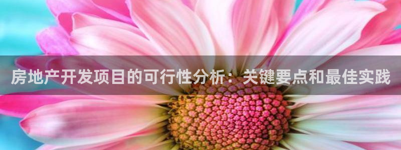 永利打不开