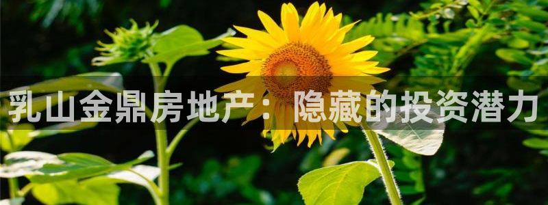 永利保险公司排名
