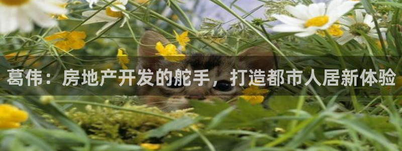 永利游乐城网址是多少