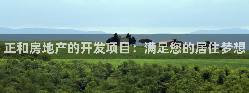 永利皮具lv工厂