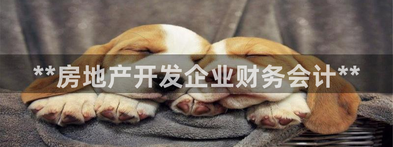 永利是做什么的