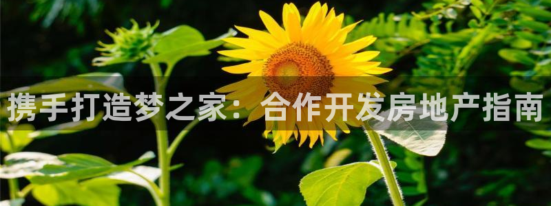 永利建筑材料有限责任公司