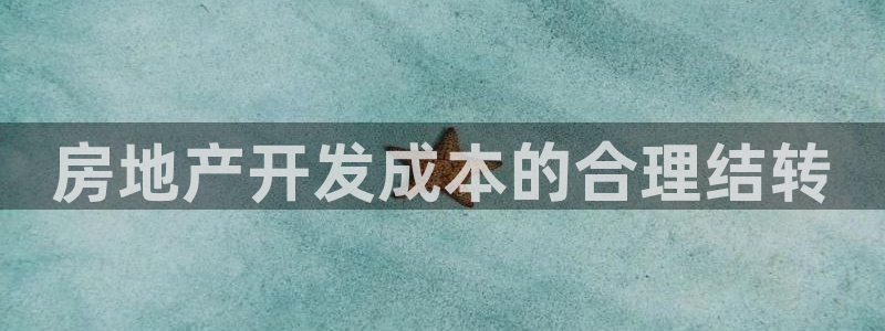 永利有限责任公司