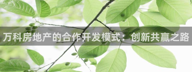 永利皮带
