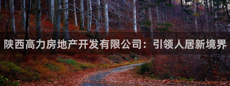 永利皮带型号说明书