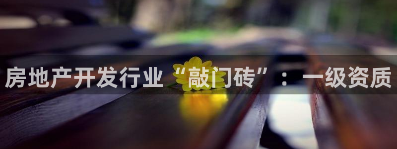 永利的老板是谁