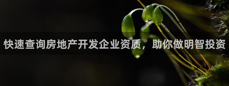 永利带业高管人员