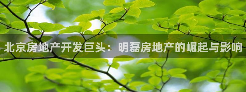 永利皮带官网价格查询表
