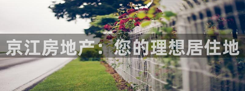 永利表行是正品吗