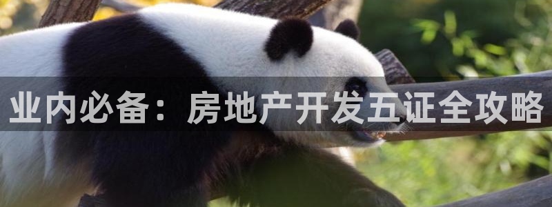永利中国集团