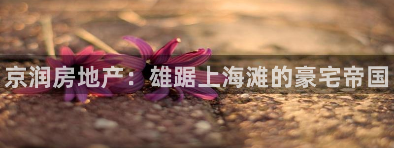 永利输送带