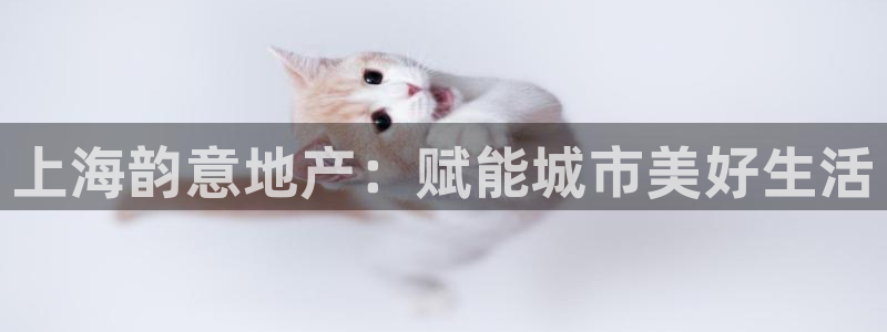 澳门永利是真的假的