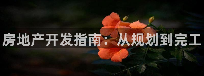 永利纺织有限公司
