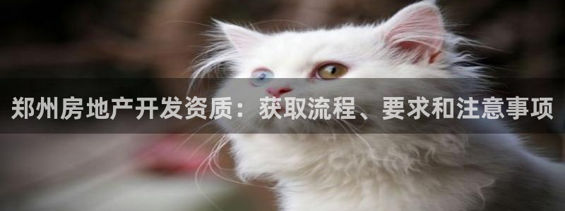 永利 老板