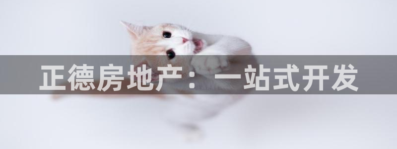 永利酒店老板