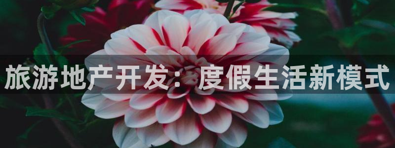 永利杯掼蛋