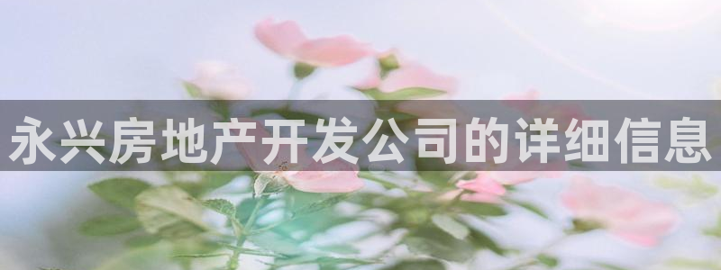 永利黄府黄立青信鸽图片