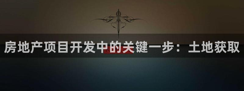 永利金文化有限公司