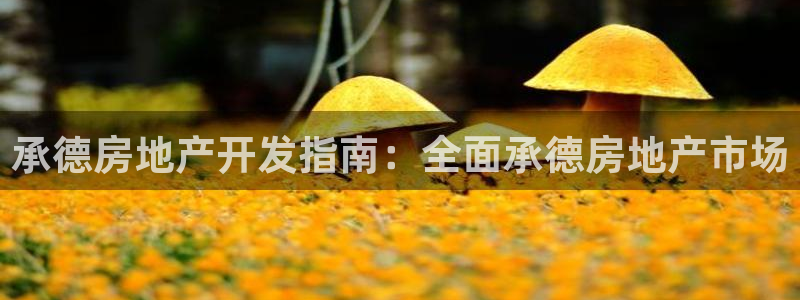 永利皮带型号说明书