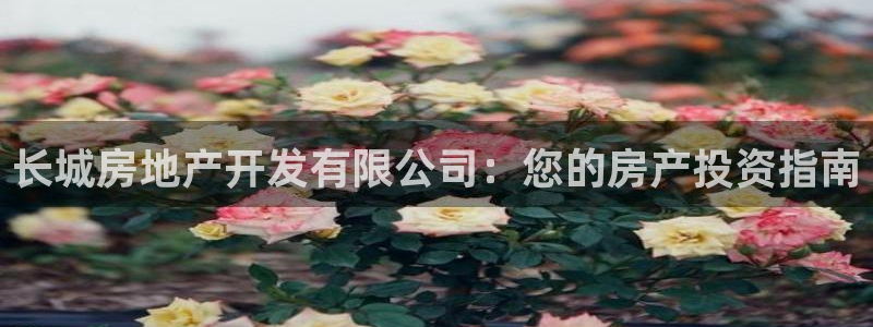 永利杯掼蛋比赛