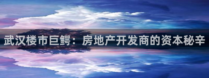 永利带业集团2020年的业绩状况