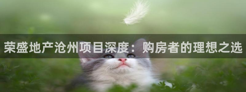 永利皇府黄立青