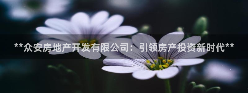 永利股份有限公司
