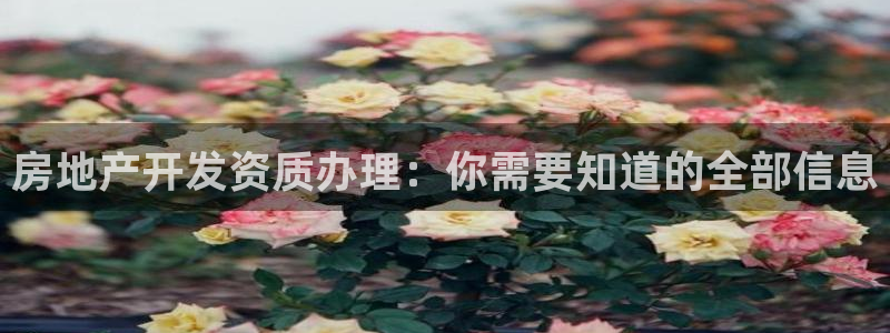 永利制衣有限公司