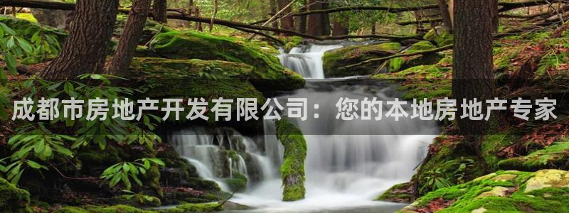 永利汇团购
