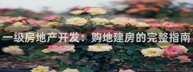 忘了永利集团的网址了