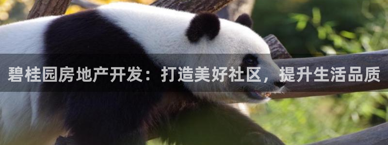 永利网9900777可靠吗