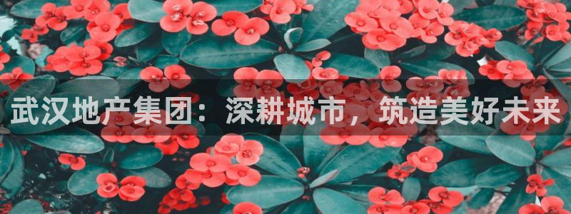 永利资管幕后老板