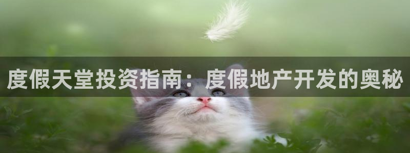永利精工董事长