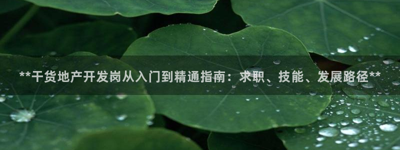 永利技术