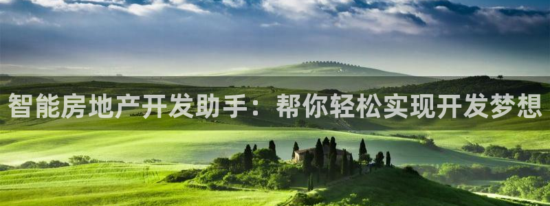 永利股份产品介绍