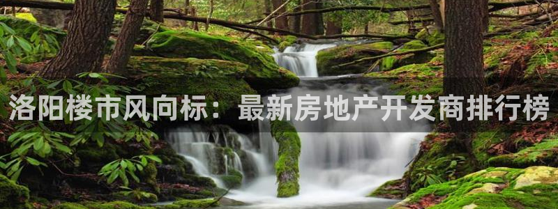 永利皮带报价查询