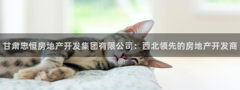 永利官网是什么