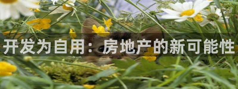 永利优惠大厅
