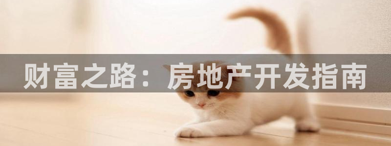 永利皮带官网旗舰店