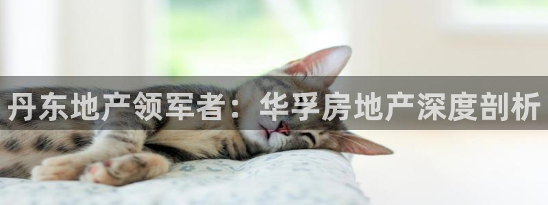 永利 老板